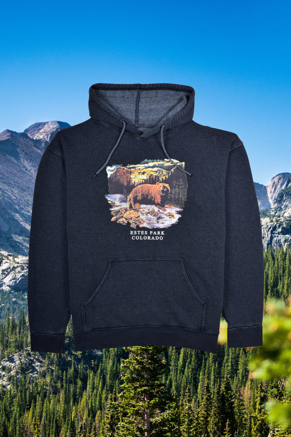  Colorado bear hoodie mens 